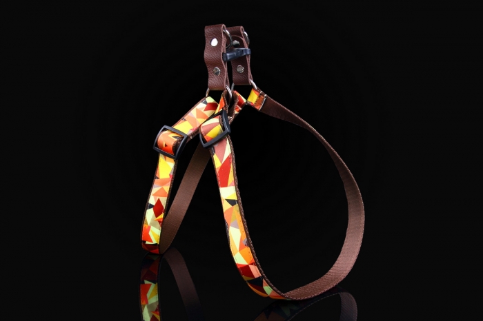 1792 Autumn Harness