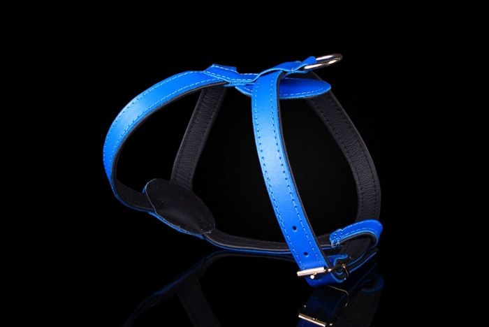 226 Leather Harness Blue