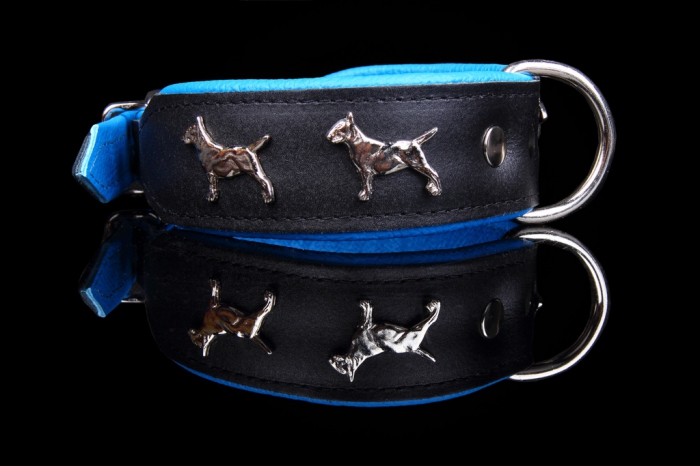 307 Bull Terrier Super Collar