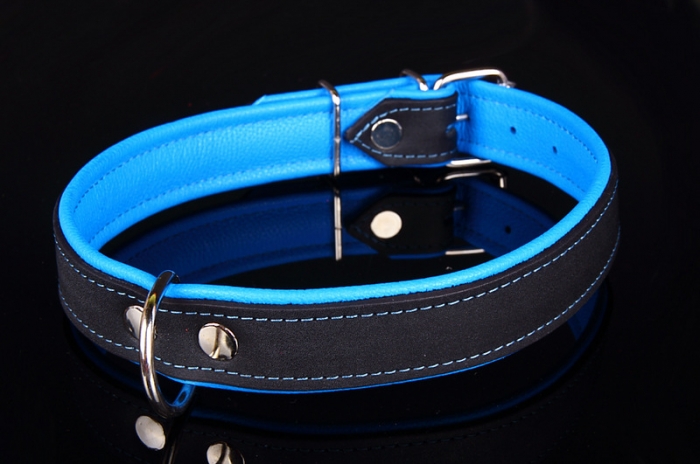 504 Neo Collar - Blue Black