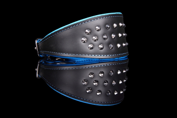 535 Greyhound with Studs Collar