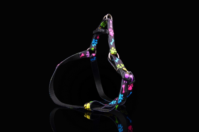 663 Friendly Dog Harness Rainbow Paw Prints