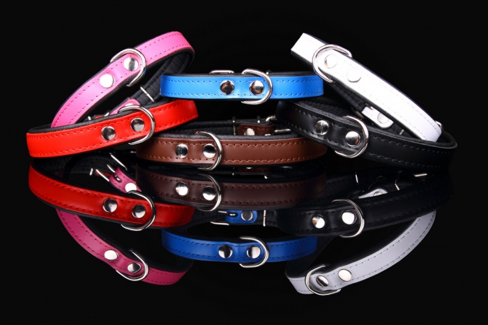 901 Super Collar Colours